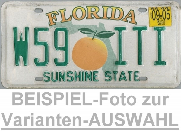 FLORIDA Motiv eine Orange - Nummernschild # Schilder Auswahl
