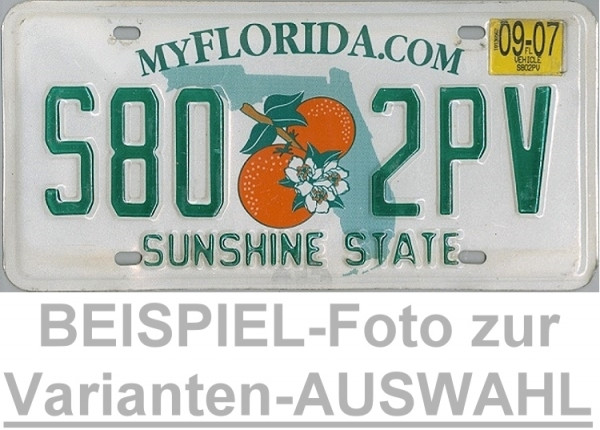 FLORIDA Motiv zwei Orangen - Nummernschild # Schilder Auswahl