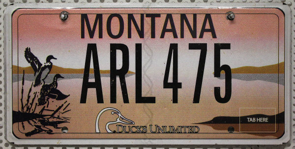 MONTANA Ducks Unlimited - Nummernschild # ARL475 ...