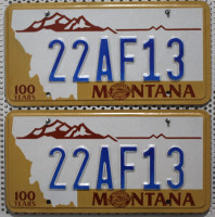 MONTANA Schilder PAAR - Zwei USA Nummernschilder # 22AF13