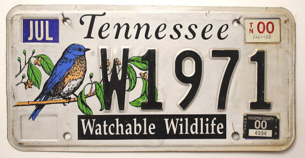 TENNESSEE Watchable Wildlife - Nummernschild # W1971 =